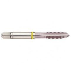40241 2B 4-Flute Cobalt Yellow Ring Spiral Point Plug Tap-MolyGlide - Exact Industrial Supply