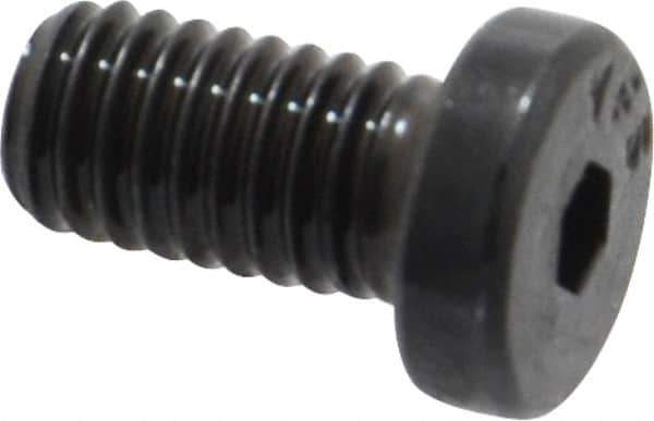 Value Collection - #10-32 UNF Hex Socket Drive, Low Socket Cap Screw - Alloy Steel, Black Oxide Finish, Fully Threaded, 3/8" Length Under Head - Exact Industrial Supply