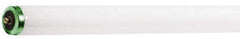 Philips - 56 Watt Fluorescent Tubular Single Pin Lamp - 6,500°K Color Temp, 3,800 Lumens, T12, 12,000 hr Avg Life - Exact Industrial Supply