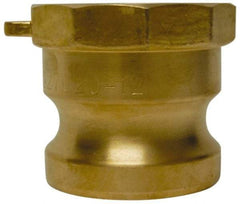 EVER-TITE Coupling Products - 2-1/2" Brass Cam & Groove Suction & Discharge Hose Male Adapter Female NPT Thread - Part A, 2-1/2" Thread, 250 Max psi - Exact Industrial Supply