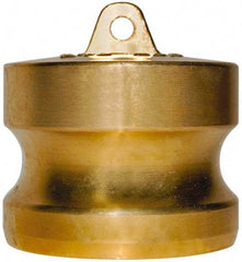EVER-TITE Coupling Products - 2-1/2" Brass Cam & Groove Suction & Discharge Hose Dust Plug For Use with Couplers - Part DP, 250 Max psi - Exact Industrial Supply