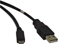 Tripp-Lite - 6' Long, USB A/B Computer Cable - Beige, Male x Male - Exact Industrial Supply