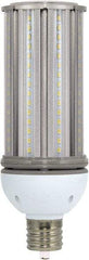 Value Collection - 45 Watt LED Commercial/Industrial Mogul Lamp - 5,000°K Color Temp, 5,400 Lumens, 100, 277 Volts, Ex39, 50,000 hr Avg Life - Exact Industrial Supply