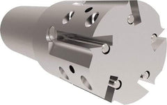 Allied Machine and Engineering - 44.58mm Cut Diam, 32mm Shank Diam, Internal/External Indexable Thread Mill - Multiple Insert Styles, 38.1mm Insert Size, Toolholder Style THP, 114.3mm OAL - Exact Industrial Supply