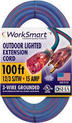 Value Collection - 100', 12/3 Gauge/Conductors, Blue/Red Outdoor Extension Cord - 1 Receptacle, 15 Amps, UL SJTW, NEMA 5-15P - Exact Industrial Supply