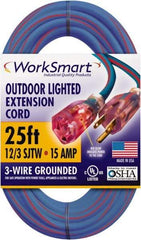 Value Collection - 25', 12/3 Gauge/Conductors, Blue/Red Outdoor Extension Cord - 1 Receptacle, 15 Amps, UL SJTW, NEMA 5-15P - Exact Industrial Supply