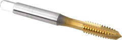 OSG - 1/4-20 UNC, 3 Flute, TiN Finish, High Speed Steel Spiral Point Tap - Plug Chamfer, Right Hand Thread, 2-1/2" OAL, 1" Thread Length, 0.255" Shank Diam, 3B Class of Fit, Series 105 - Exact Industrial Supply