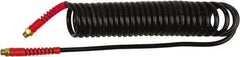 PRO-SOURCE - 1/4" ID, 1/4 Thread, 25' Long, Black Polyurethane Coiled & Self Storing Hose - 145 Max psi, Male Swivel x Male Swivel - Exact Industrial Supply