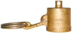 EVER-TITE Coupling Products - 3" Brass Cam & Groove Suction & Discharge Hose Dust Cap For Use with Adapters - Part DC, 250 Max psi - Exact Industrial Supply