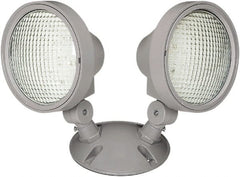 Philips - Emergency Lights Emergency Light Type: Remote Lighting Head Number of Heads: 2 - Exact Industrial Supply