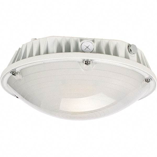 Eiko Global - 40 Watt LED Entry Light - Frosted Polycarbonate Lens, Mogul Base, Pendant & Surface Mount, 120 to 277 Volts, IP65 Ingress Protection, 290mm Long x 114mm High - Exact Industrial Supply