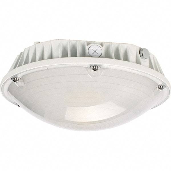 Eiko Global - 60 Watt LED Entry Light - Frosted Polycarbonate Lens, Mogul Base, Pendant & Surface Mount, 120 to 277 Volts, IP65 Ingress Protection, 290mm Long x 114mm High - Exact Industrial Supply