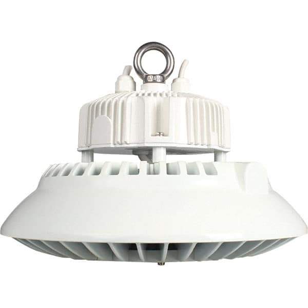 Eiko Global - 1 Lamp, 100 Watts, LED, High Bay Fixture - 11.81" Wide, 120-277 Volt, Steel Housing - Exact Industrial Supply