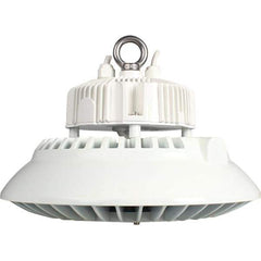 Eiko Global - 1 Lamp, 200 Watts, LED, High Bay Fixture - 250mm High x 11.81" Wide, 120-277 Volt, Steel Housing - Exact Industrial Supply