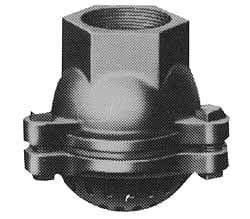 Value Collection - 2-1/2" Hose, Foot Valve - Cast Iron - Exact Industrial Supply