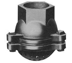 Value Collection - 2-1/2" Hose, Foot Valve - Cast Iron - Exact Industrial Supply