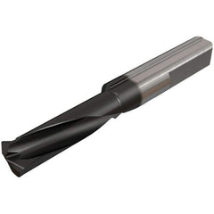 Iscar - 8mm Cutting Depth, 4mm Diam, Internal/External Thread, Solid Carbide, Single Point Threading Tool - TiAlN/TiN Finish, 30mm OAL, 6mm Shank Diam, 0.05" Projection from Edge, 0.5 to 0.75mm Pitch, 60° Profile Angle - Exact Industrial Supply