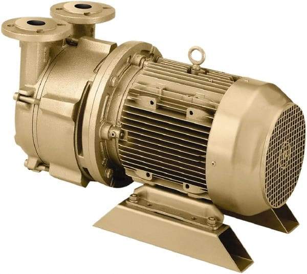 DEKKER Vacuum Technologies - 29 Hg Max, 2-1/2" ANSI 150# RF Flanged Inlet & Discharge, Single Stage Liquid Ring Vaccum Pump - 150 CFM, 10 hp, Cast Iron Housing, 316 Stainless Steel Impeller, 1,750 RPM, 230/460 Volts - Exact Industrial Supply