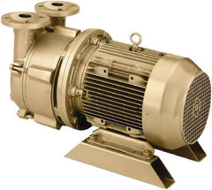 DEKKER Vacuum Technologies - 29 Hg Max, 2-1/2" ANSI 150# RF Flanged Inlet & Discharge, Single Stage Liquid Ring Vaccum Pump - 150 CFM, 10 hp, Cast Iron Housing, 316 Stainless Steel Impeller, 1,750 RPM, 230/460 Volts - Exact Industrial Supply