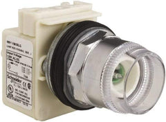 Schneider Electric - 1.18 Inch Mount Hole, Extended Straight, Pushbutton Switch Only - Round, Green Pushbutton, Illuminated, Momentary (MO), Weatherproof, Dust and Oil Resistant - Exact Industrial Supply