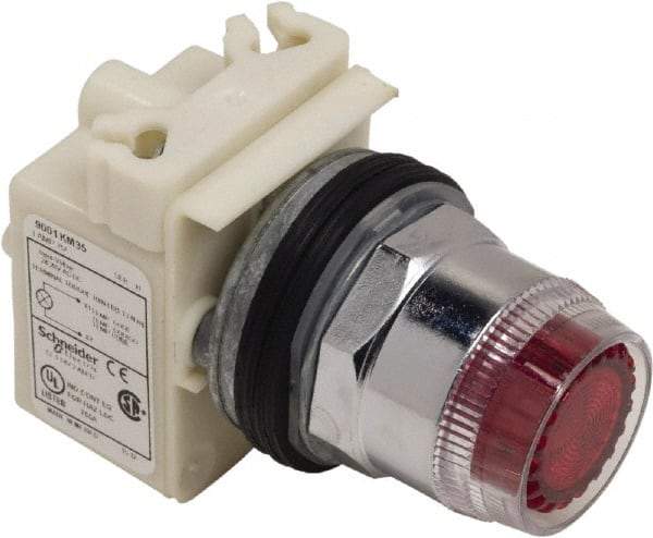 Schneider Electric - 1.18 Inch Mount Hole, Extended Straight, Pushbutton Switch Only - Round, Red Pushbutton, Illuminated, Momentary (MO), Weatherproof, Dust and Oil Resistant - Exact Industrial Supply