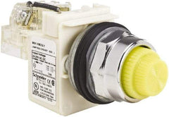 Schneider Electric - 120 VAC Yellow Lens LED Pilot Light - Round Lens, Screw Clamp Connector - Exact Industrial Supply