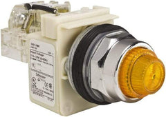 Schneider Electric - 120 VAC Amber Lens Indicating Light - Screw Clamp Connector - Exact Industrial Supply