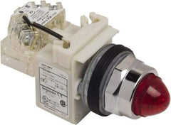 Schneider Electric - 120 VAC Red Lens Indicating Light - Screw Clamp Connector - Exact Industrial Supply