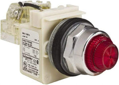 Schneider Electric - 24-28 VAC/VDC Red Lens Indicating Light - Screw Clamp Connector - Exact Industrial Supply