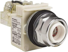 Schneider Electric - 120 VAC LED Indicating Light - Screw Clamp Connector - Exact Industrial Supply
