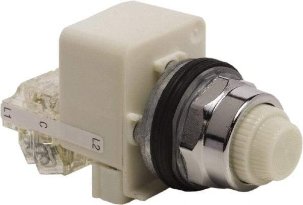 Schneider Electric - 120 VAC White Lens LED Indicating Light - Screw Clamp Connector - Exact Industrial Supply