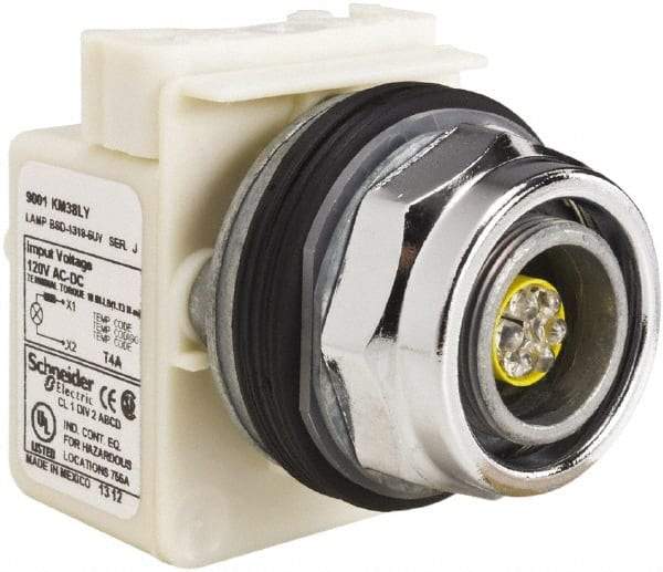 Schneider Electric - 120 V LED Indicating Light - Screw Clamp Connector - Exact Industrial Supply