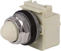 Schneider Electric - 120 VAC White Lens Indicating Light - Screw Clamp Connector - Exact Industrial Supply
