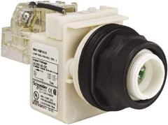 Schneider Electric - 28 V Green Lens LED Pilot Light - Round Lens, Screw Clamp Connector, 54mm OAL x 42mm Wide, Vibration Resistant - Exact Industrial Supply