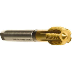 Emuge - 7/16-14 UNC 2BX Modified Bottoming Thread Forming Tap - Cobalt, TiN Finish, 3.937" OAL, 0.709" Thread Length, Right Hand Thread, Series Druck - Exact Industrial Supply