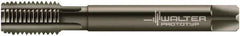 Walter-Prototyp - 7/8-14 UNF 2B 5 Flute Nitride/Oxide Finish Powdered Metal Straight Flute Machine Tap - Modified Bottoming, Right Hand Thread, 125mm OAL, 24mm Thread Length, Oversize - Exact Industrial Supply