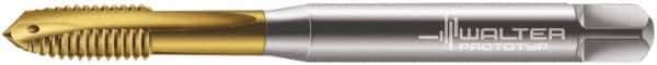 Walter-Prototyp - M10x1.50 Metric, 3 Flute, TiN Finish, Powdered Metal Spiral Point Tap - Plug Chamfer, Right Hand Thread, 100mm OAL, 20mm Thread Length, 10mm Shank Diam, 6H Class of Fit, Series 7021345 - Exact Industrial Supply