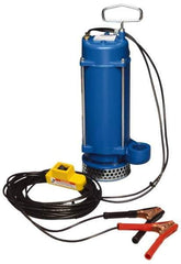 Warren Rupp - 1/3 hp, 12 VDC Amp Rating, 12 VDC Volts, Nonautomatic Operation, Dewatering Pump - Aluminum Housing - Exact Industrial Supply