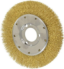 Osborn - 6" OD, 1-1/4" Arbor Hole, Crimped Brass Wheel Brush - 5/8" Face Width, 1-1/8" Trim Length, 0.014" Filament Diam, 6,000 RPM - Exact Industrial Supply
