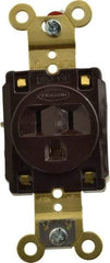 Hubbell Wiring Device-Kellems - 125 VAC, 15 Amp, 5-15R NEMA Configuration, Brown, Specification Grade, Self Grounding Single Receptacle - 1 Phase, 2 Poles, 3 Wire, Flush Mount, Corrosion, Heat and Impact Resistant - Exact Industrial Supply