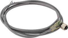 Telemecanique Sensors - 3 Amp, M12 3 Pin Female Straight Cordset Sensor and Receptacle - 30 VAC, 36 VDC, 2m Cable Length, IP67 Ingress Rating - Exact Industrial Supply