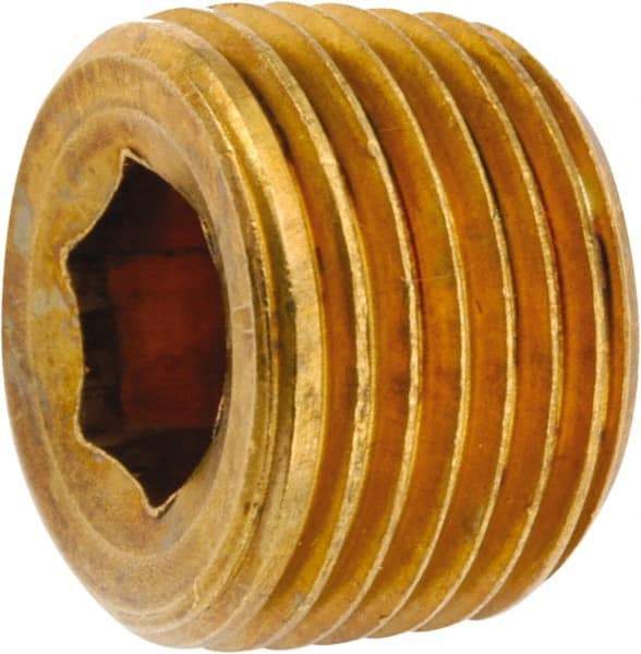 ANDERSON METALS - 1/2-14 Male Thread, Lead Free Brass Industrial Pipe Hollow Hex Plug - MNPT, 1,000 psi - Exact Industrial Supply
