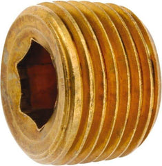 ANDERSON METALS - 1/2-14 Male Thread, Lead Free Brass Industrial Pipe Hollow Hex Plug - MNPT, 1,000 psi - Exact Industrial Supply