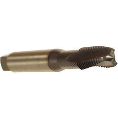 Emuge - #5-40 UNC 2 Flute 3BX Plug Spiral Flute Tap - Cobalt, TiCN Finish, 2.205" OAL, Left Hand Flute, Right Hand Thread, Series Rekord C - Exact Industrial Supply