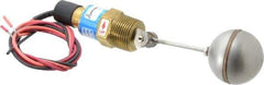 Thomas Products Ltd. - 1" Thread, 900 Max psi, 300°F Max, Liquid Level Side Mounted Float Switches - Brass Stem - Exact Industrial Supply