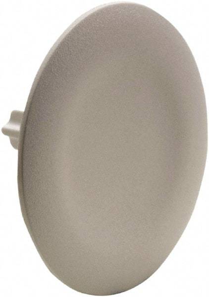 Schneider Electric - Flush Pushbutton Switch Cap - White, Round Button, Nonilluminated - Exact Industrial Supply