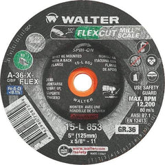 WALTER Surface Technologies - 5" Diam, 36 Grit Surface Grinding Wheel - Exact Industrial Supply