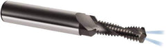 Guhring - M10x1.25 Metric Fine, 0.3465" Cutting Diam, 2 Flute, Solid Carbide Helical Flute Thread Mill - Internal Thread, 26.6mm LOC, 80mm OAL, 12mm Shank Diam - Exact Industrial Supply