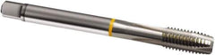 Guhring - M12x1.25 Metric Fine, 3 Flute, Bright Finish, Cobalt Spiral Point Tap - Plug Chamfer, Right Hand Thread, 100mm OAL, 6H Class of Fit, Series 827 - Exact Industrial Supply