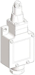 Telemecanique Sensors - SPDT, NC/NO, 240 VAC, 250 VDC, Screw Terminal, Roller Plunger Actuator, General Purpose Limit Switch - 1, 2, 4, 6, 12, 13, 6P NEMA Rating, IP66 IPR Rating - Exact Industrial Supply